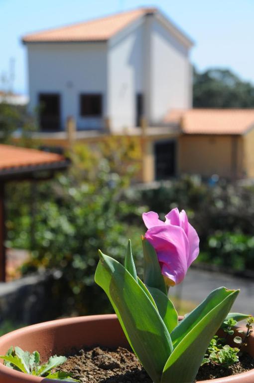 La Circumetnea Home คาตาเนีย ภายนอก รูปภาพ
