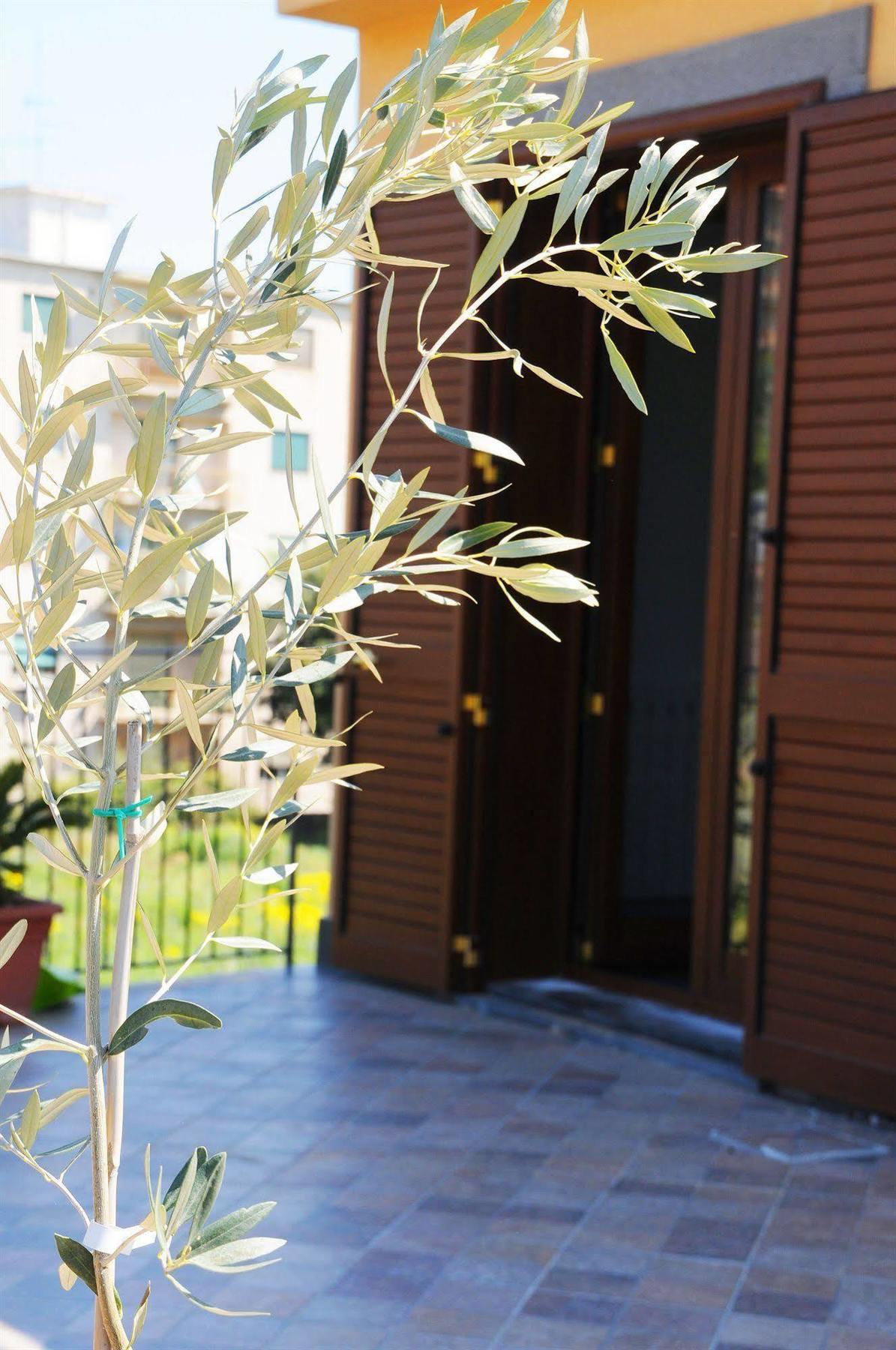 La Circumetnea Home คาตาเนีย ภายนอก รูปภาพ
